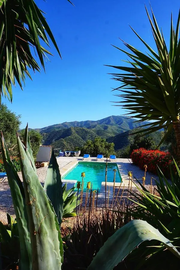 Olive Branch Guest House Alora