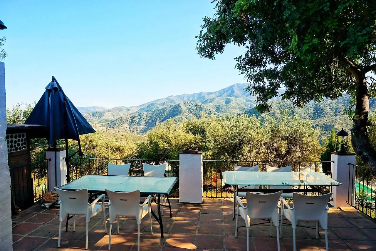 Olive Branch Guest House Alora