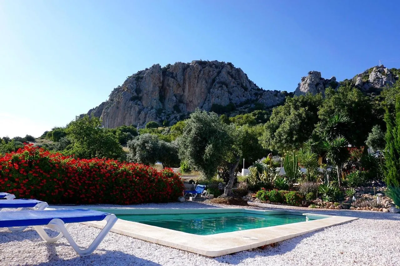Olive Branch Guest House Alora