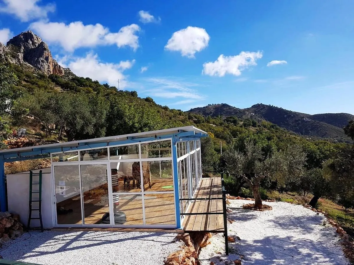 Olive Branch Guest House Alora