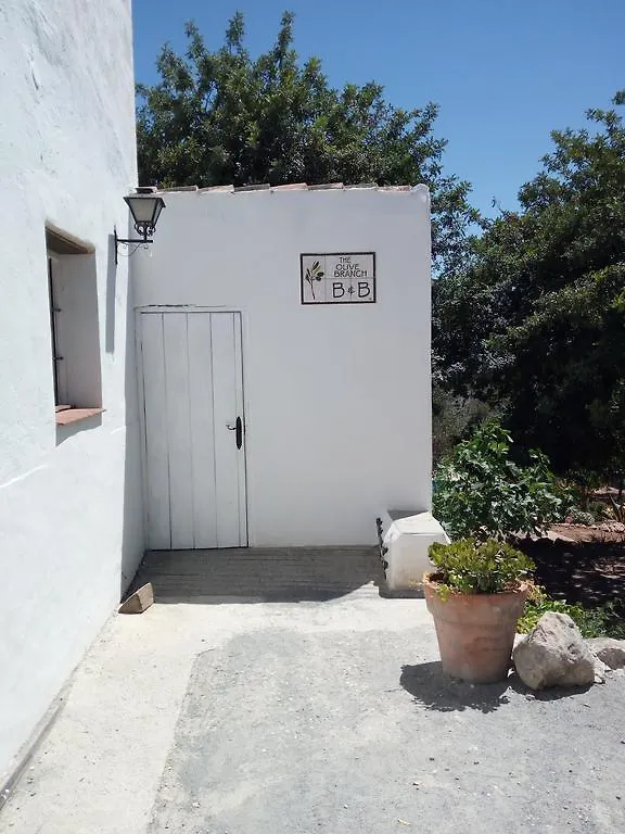 Olive Branch Guest House Alora