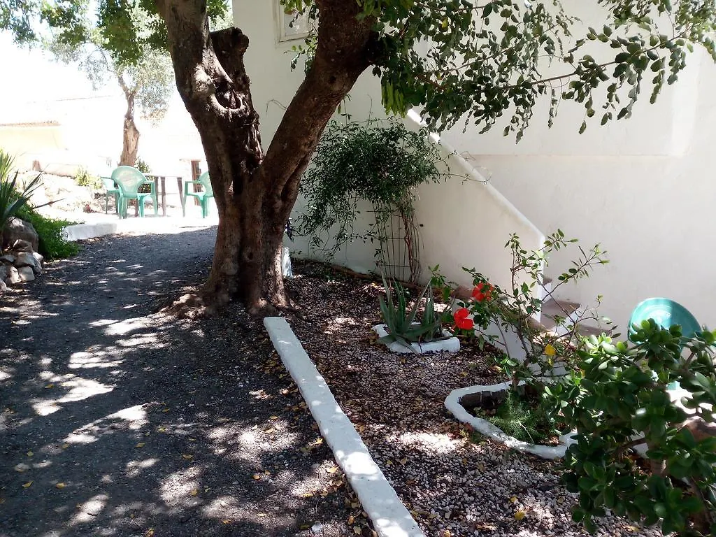 Olive Branch Guest House Alora